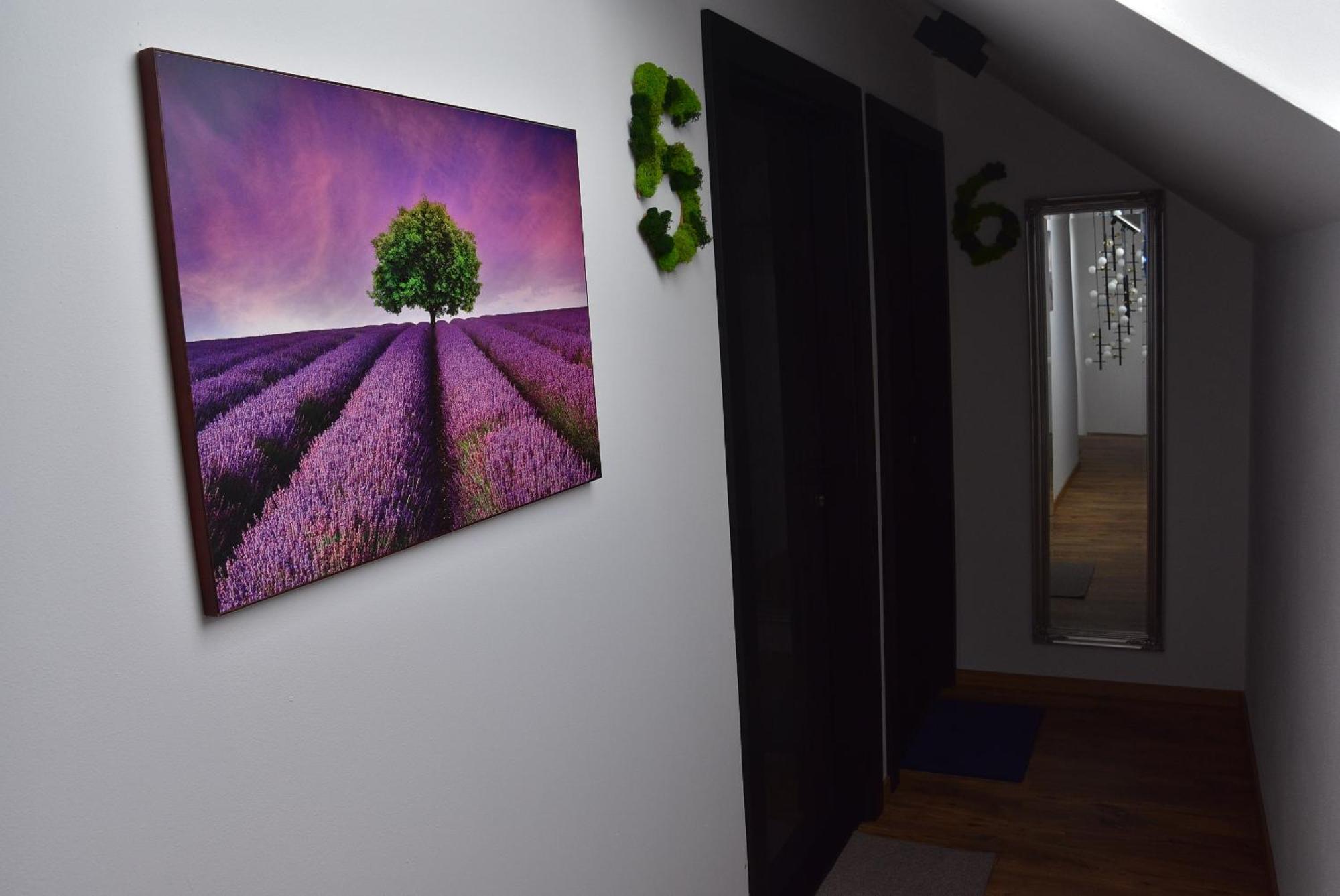 Apartmany Zakovce & Spa Vel'ka Lomnica Buitenkant foto